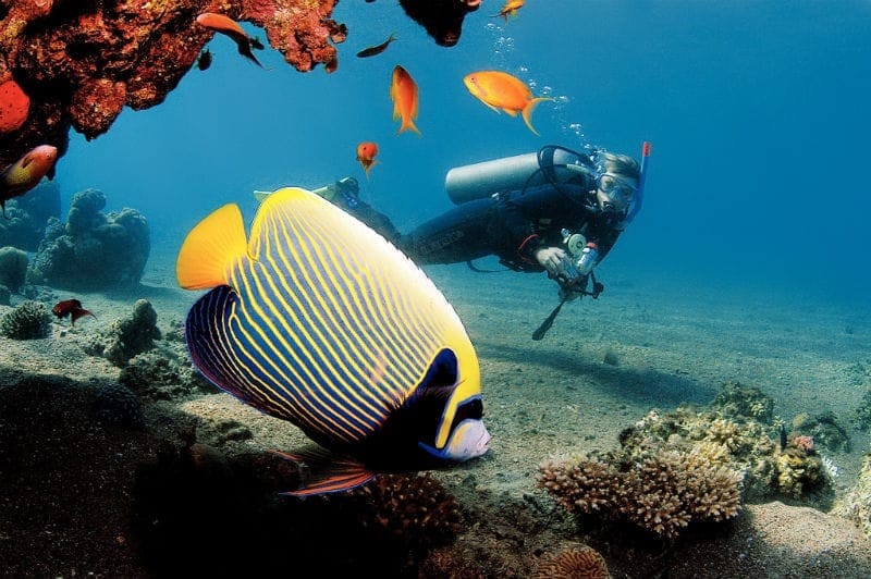  SNORKELING TRIP Hurghada Snorkeling Boat Trip  €30 per person