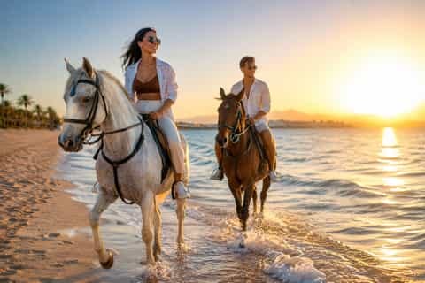 HORSE RIDING Horse Riding in Hurghada  €15 per person